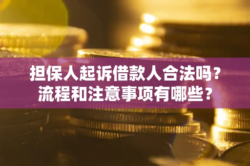 北京担保人起诉借款人合法吗？流程和注意事项有哪些？