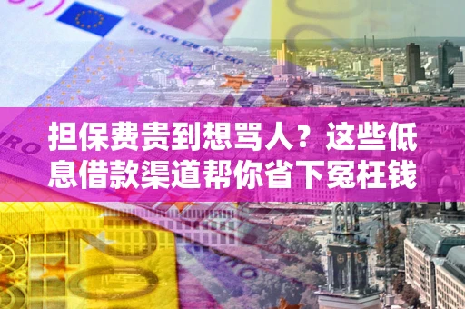 北京担保费贵到想骂人？这些低息借款渠道帮你省下冤枉钱