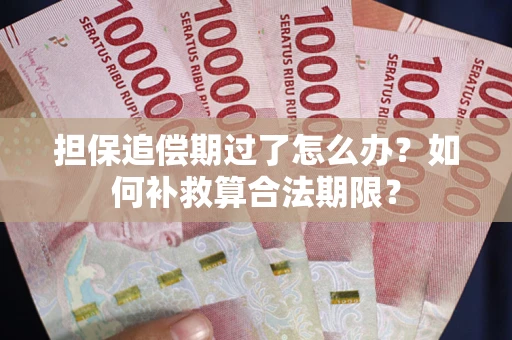 北京担保追偿期过了怎么办？如何补救算合法期限？