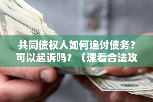 北京共同债权人如何追讨债务？可以起诉吗？（速看合法攻略）